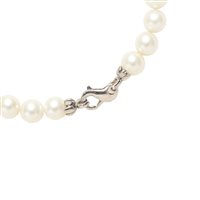 Armband Idee Preziose dal 1987 Dame in Perlen IP.BK18B/8P - IP.BK18B/8P